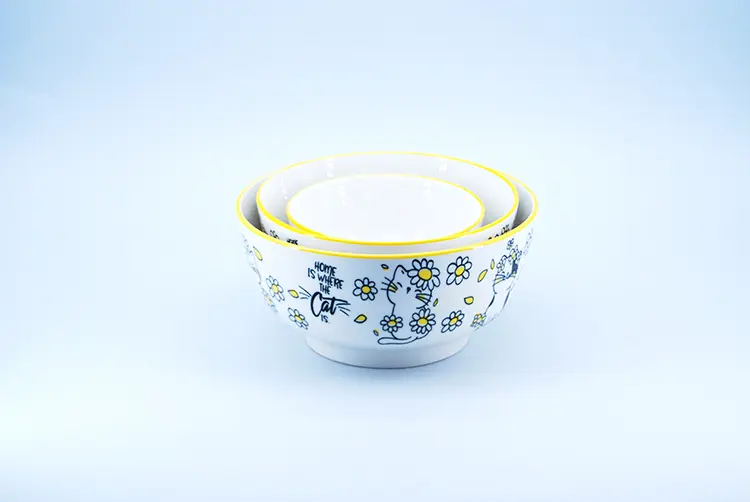 Safe 6-Inch Cat Print (4)