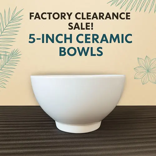 Factory Clearance Sale – 5-Inch Ceramic Bowls Wholesale | B-Grade Porcelain Bowls at Factory Price