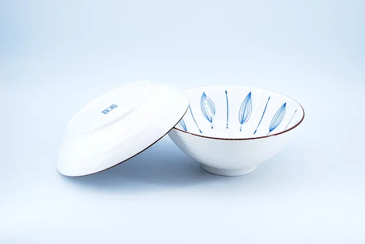 plates sets dinnerware