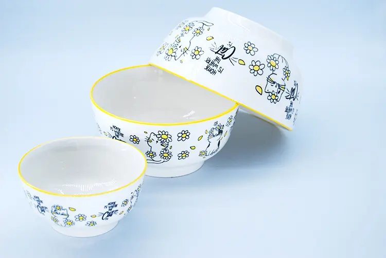 Ceramic Bowls Exporter