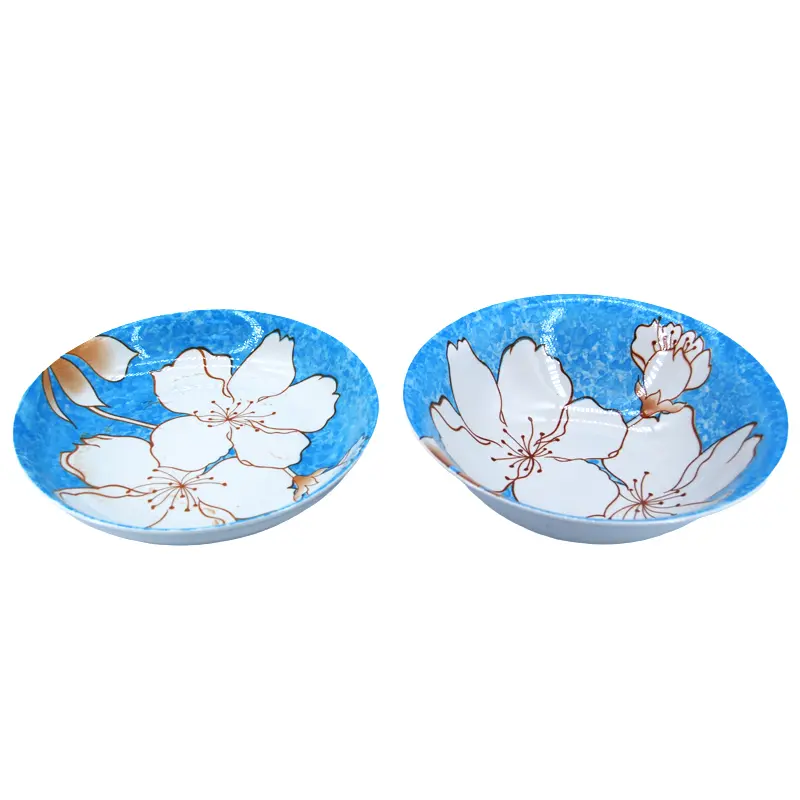 Ceramic Dinner Plates.jpg