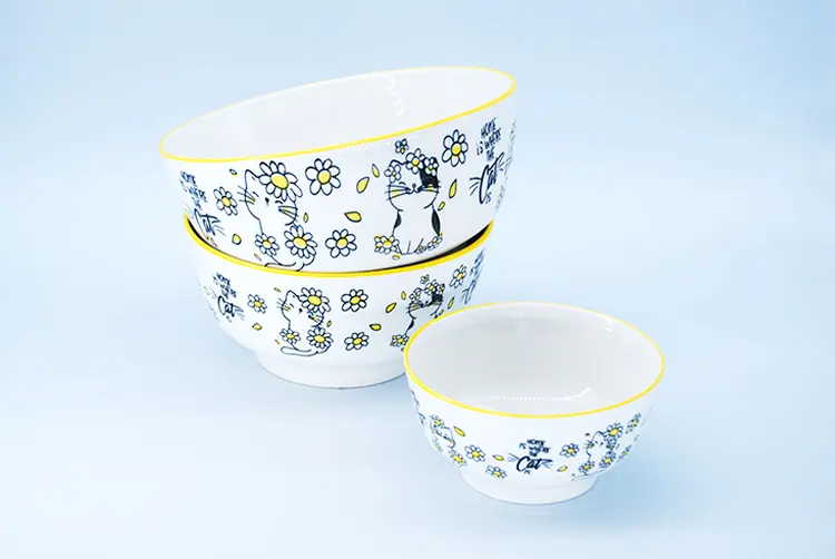 Ceramic Bowls for Home Use